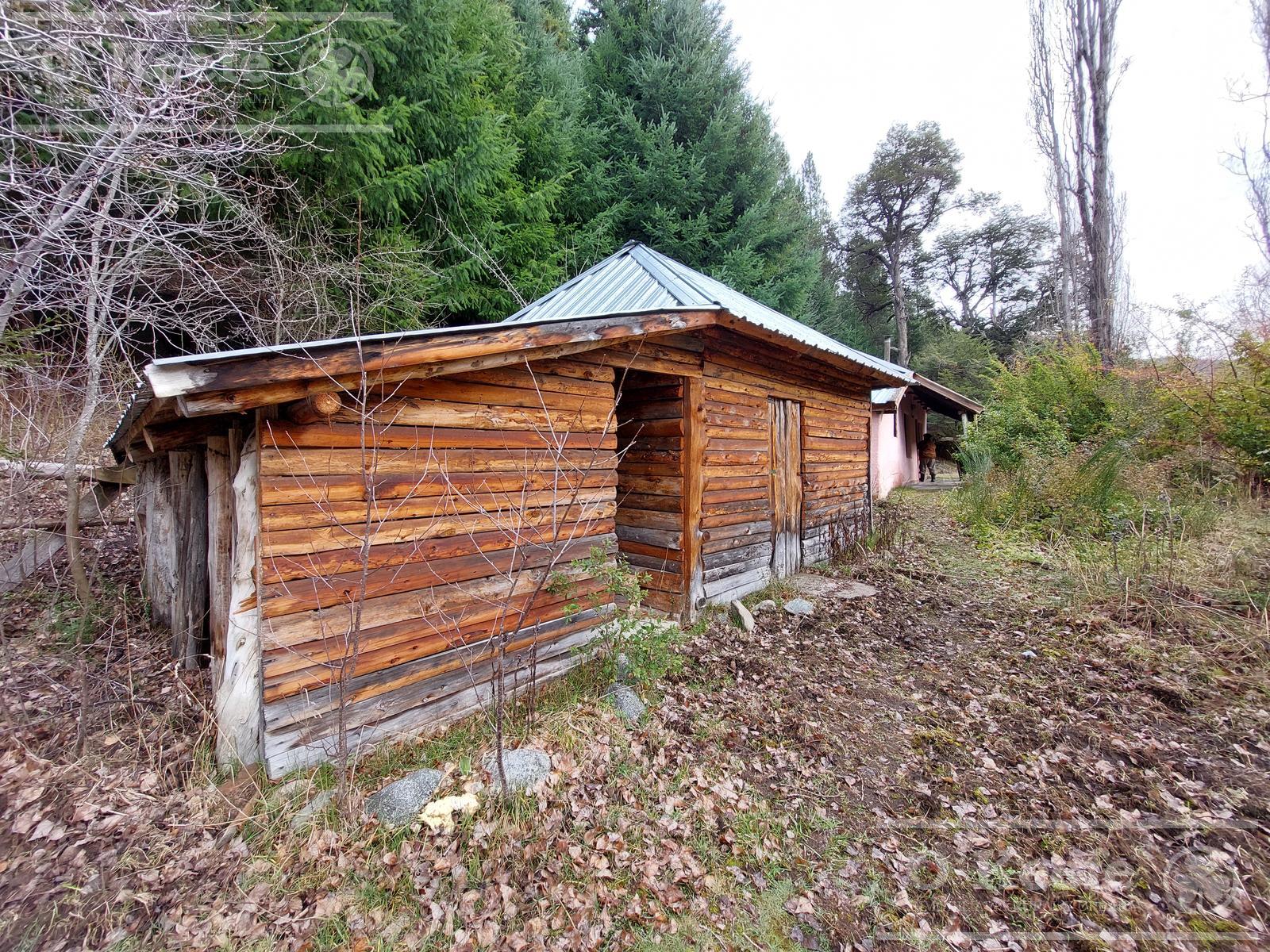 image 42