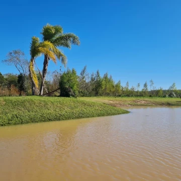 Lotes en venta - Alamos del Parana - Delta