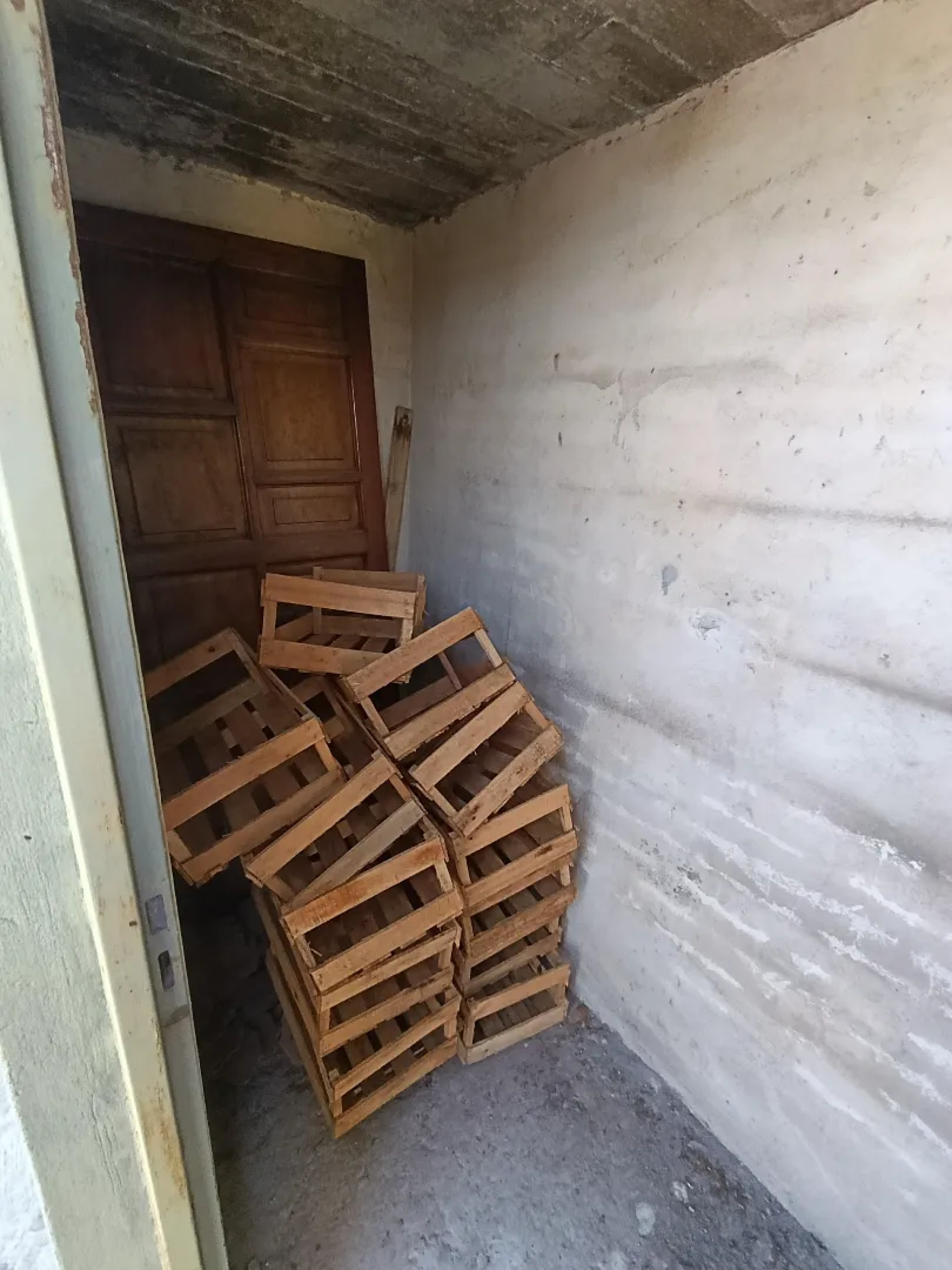 image 23