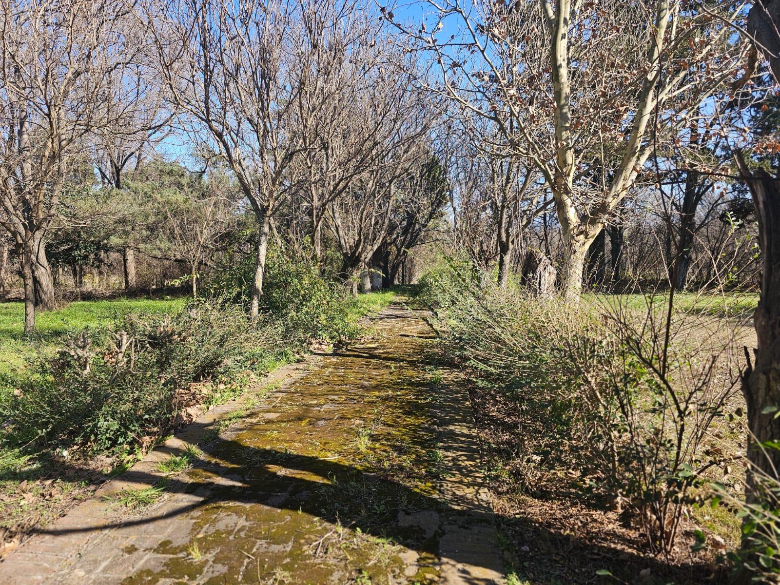 image 48