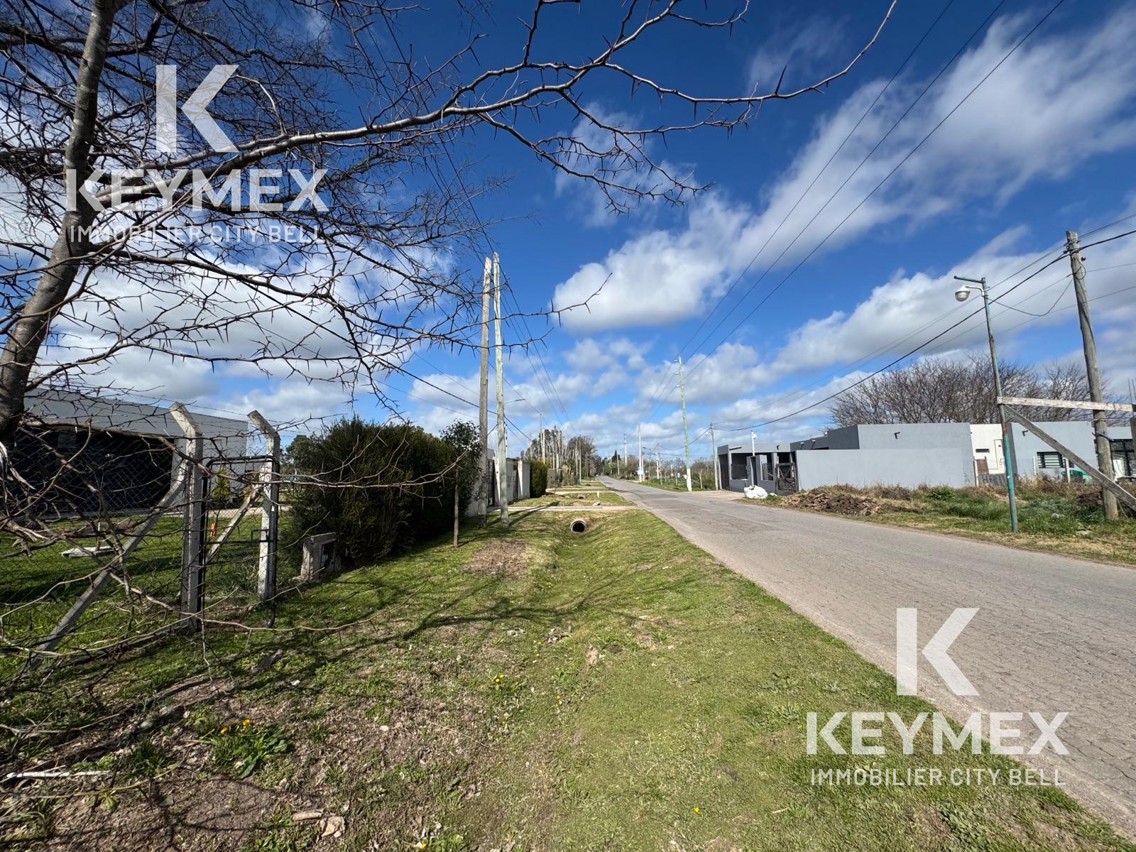 image 14