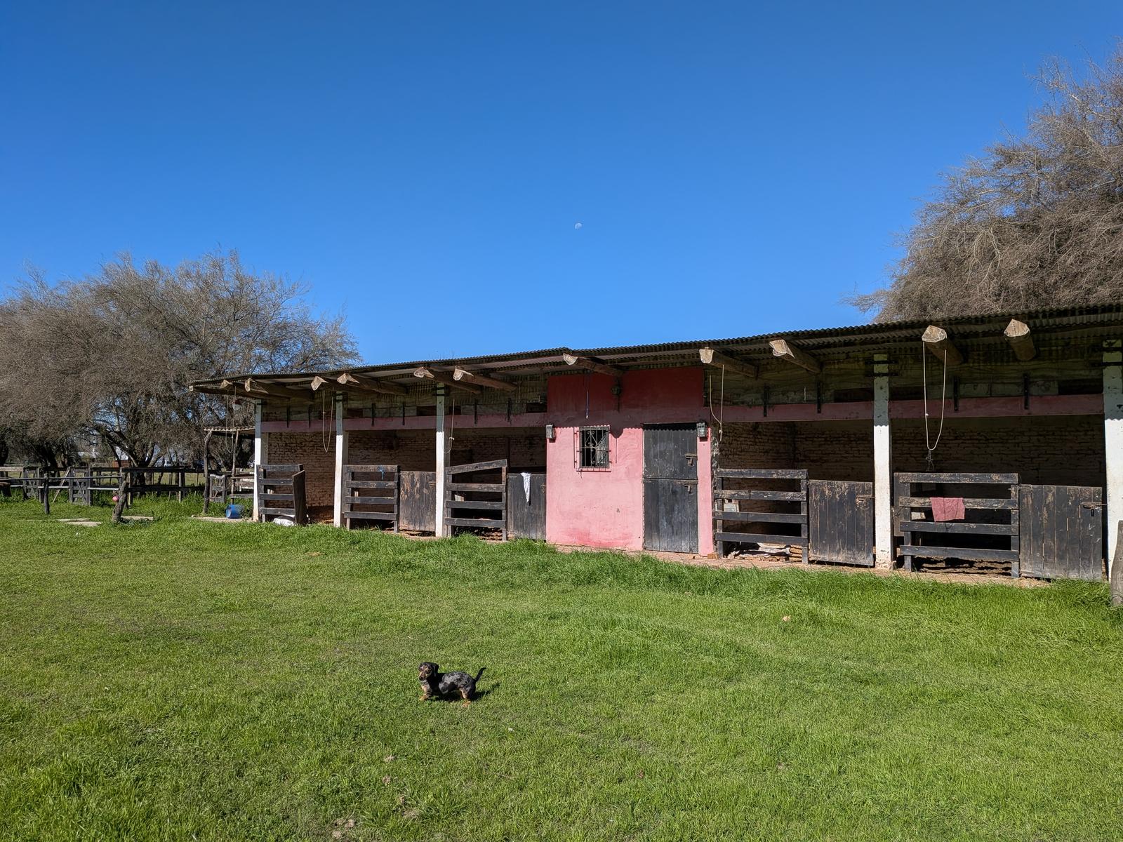 image 33