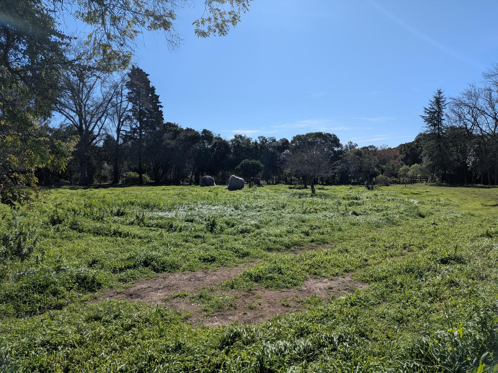 image 36