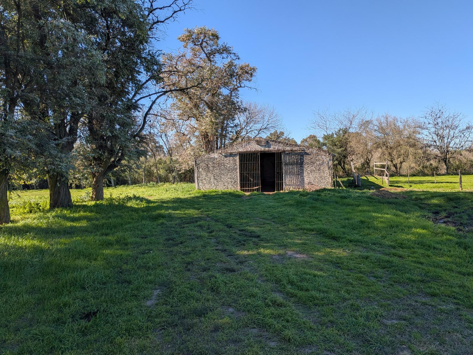 image 38