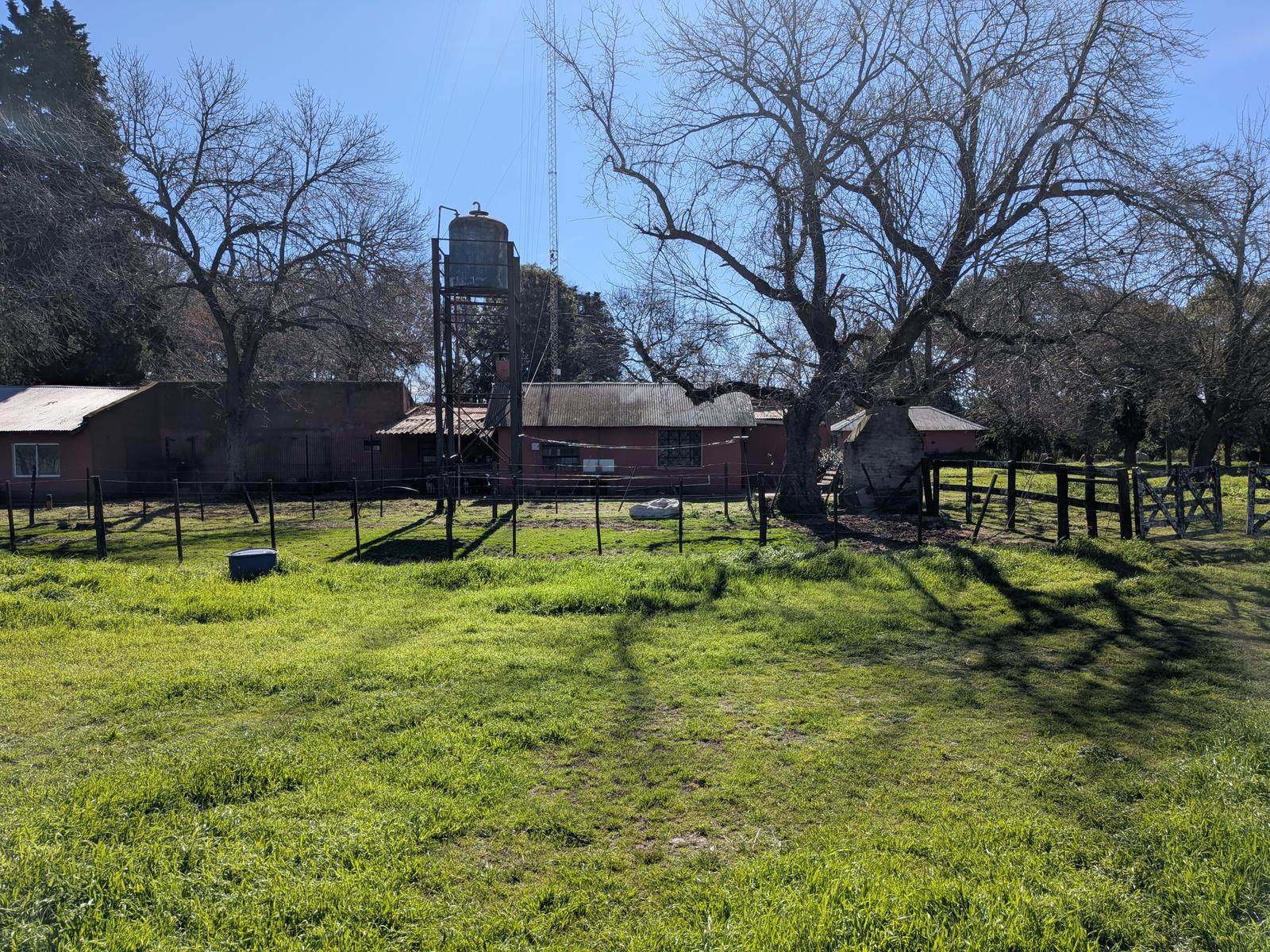 image 41