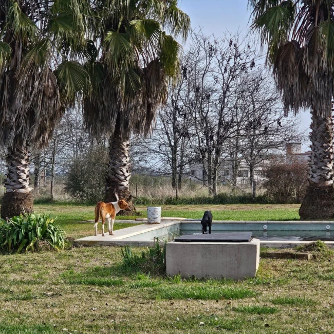 Venta Quinta con pileta y gran parque en Chacras del Alba Cañuelas