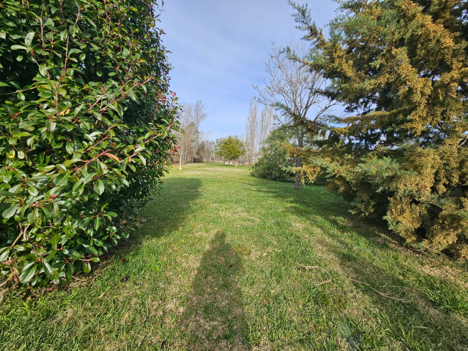 image 14