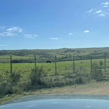 Hermosa Chacra de 2,5has en José Ignacio- Venta