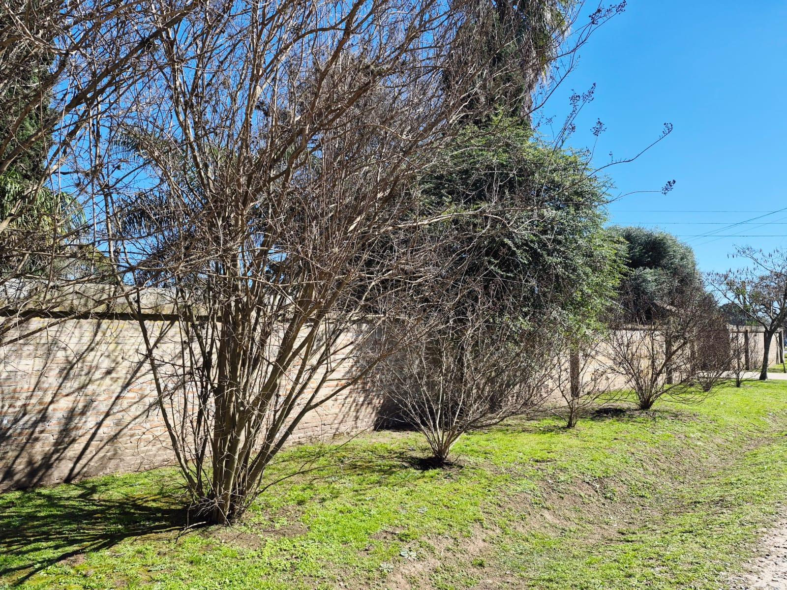 image 60