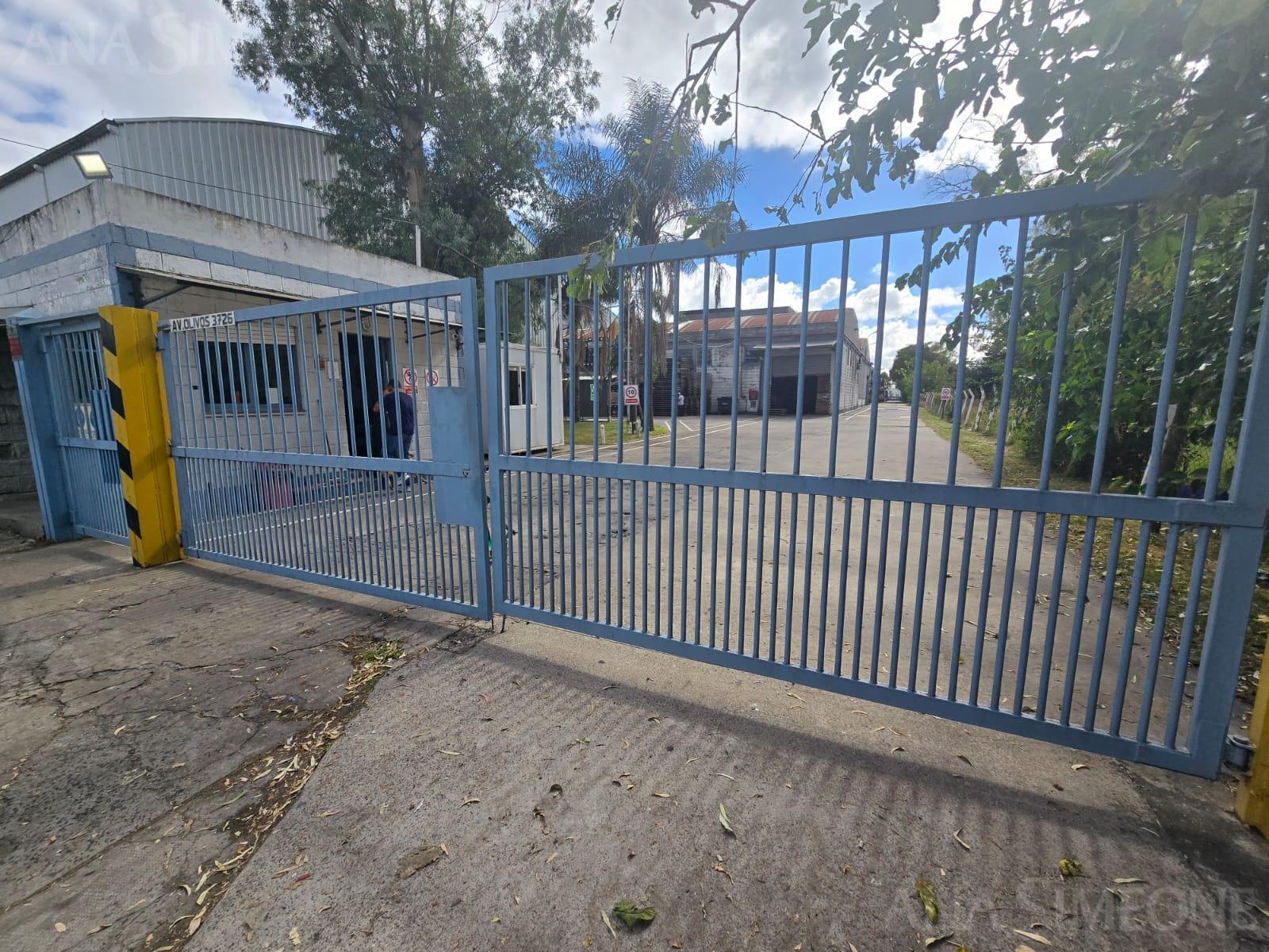 image 15