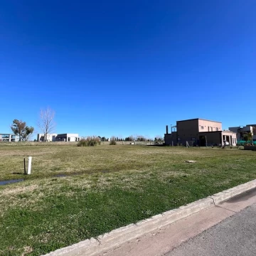 Terreno en Area 60
