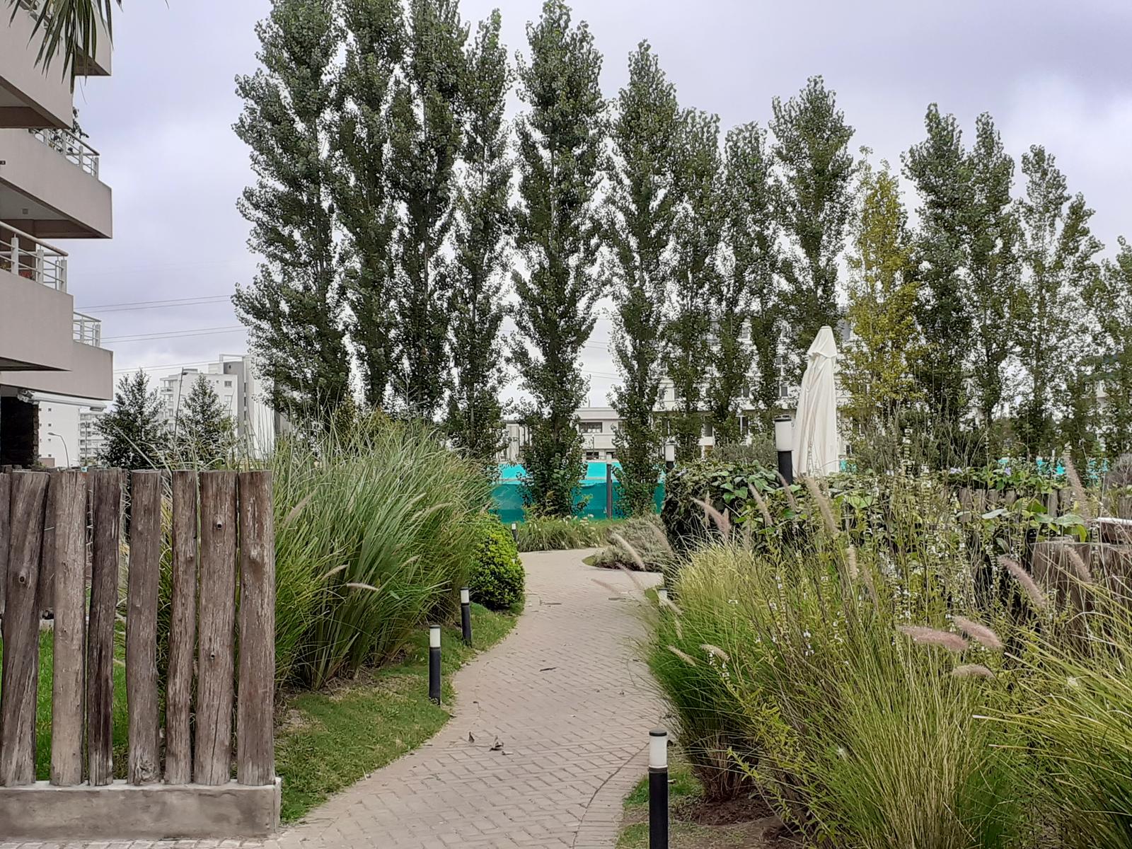 image 29