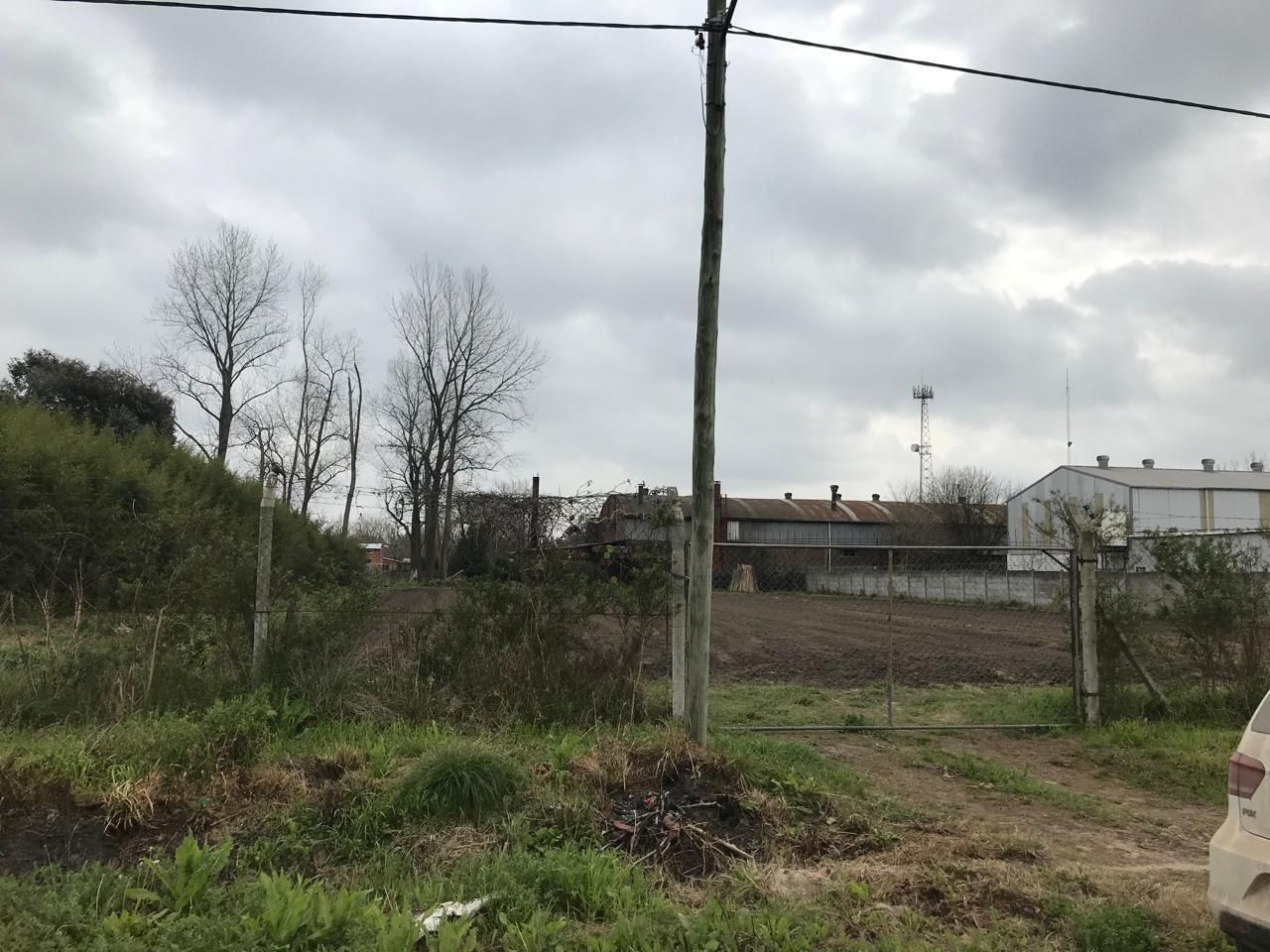 image 9