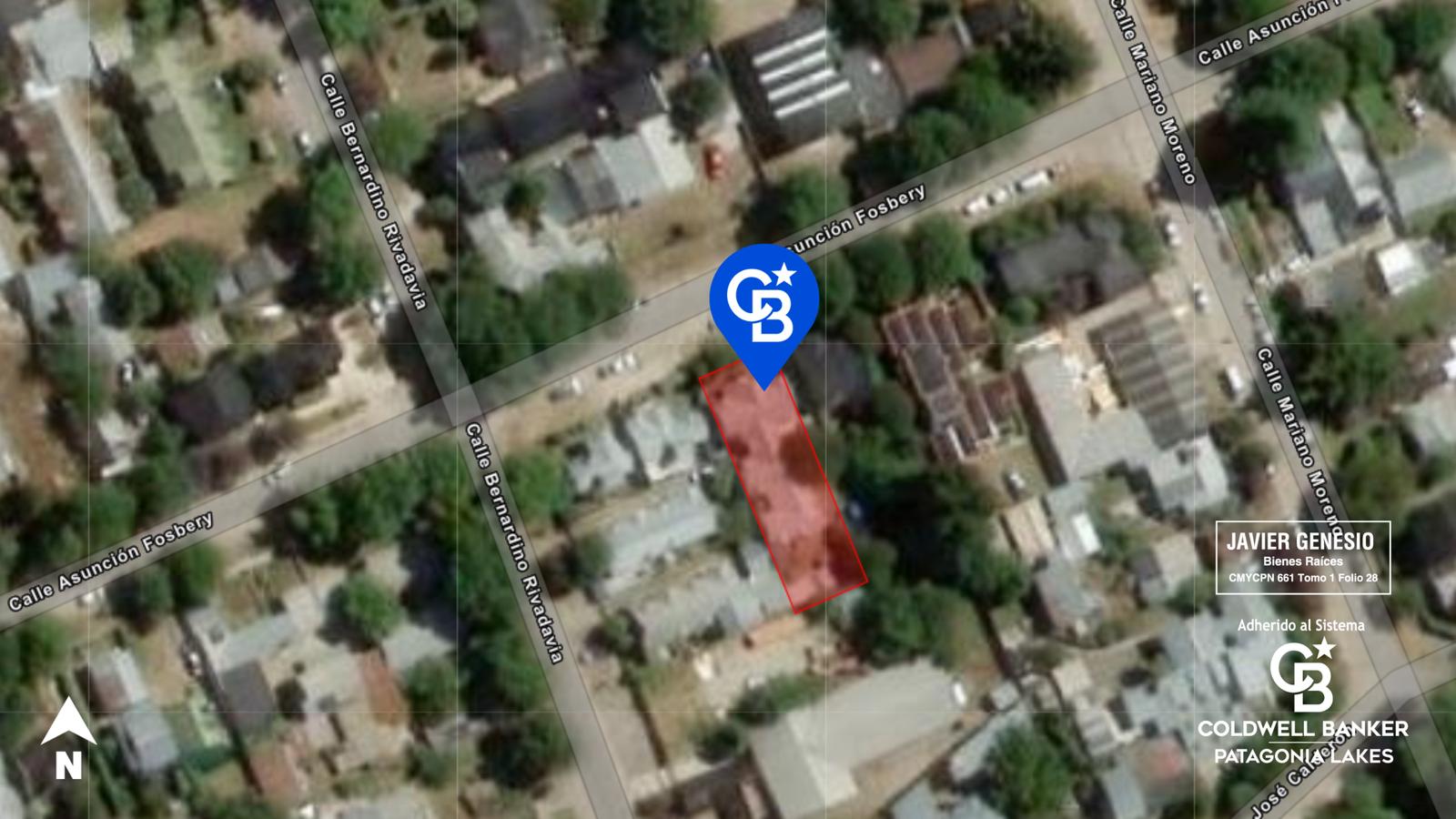 image 41