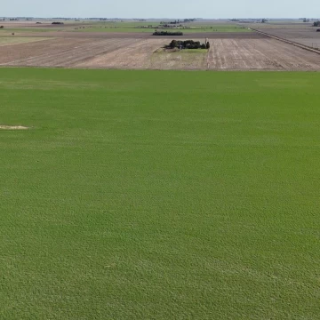 Campo 100% agrícola en zona rural de Elortondo