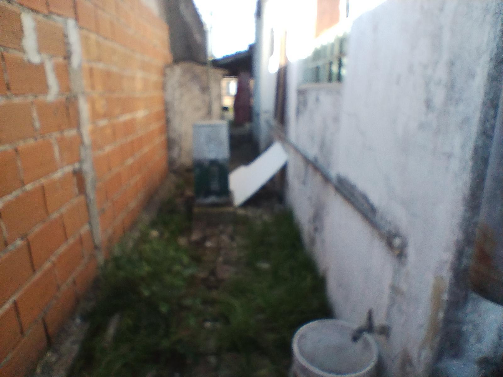 image 29