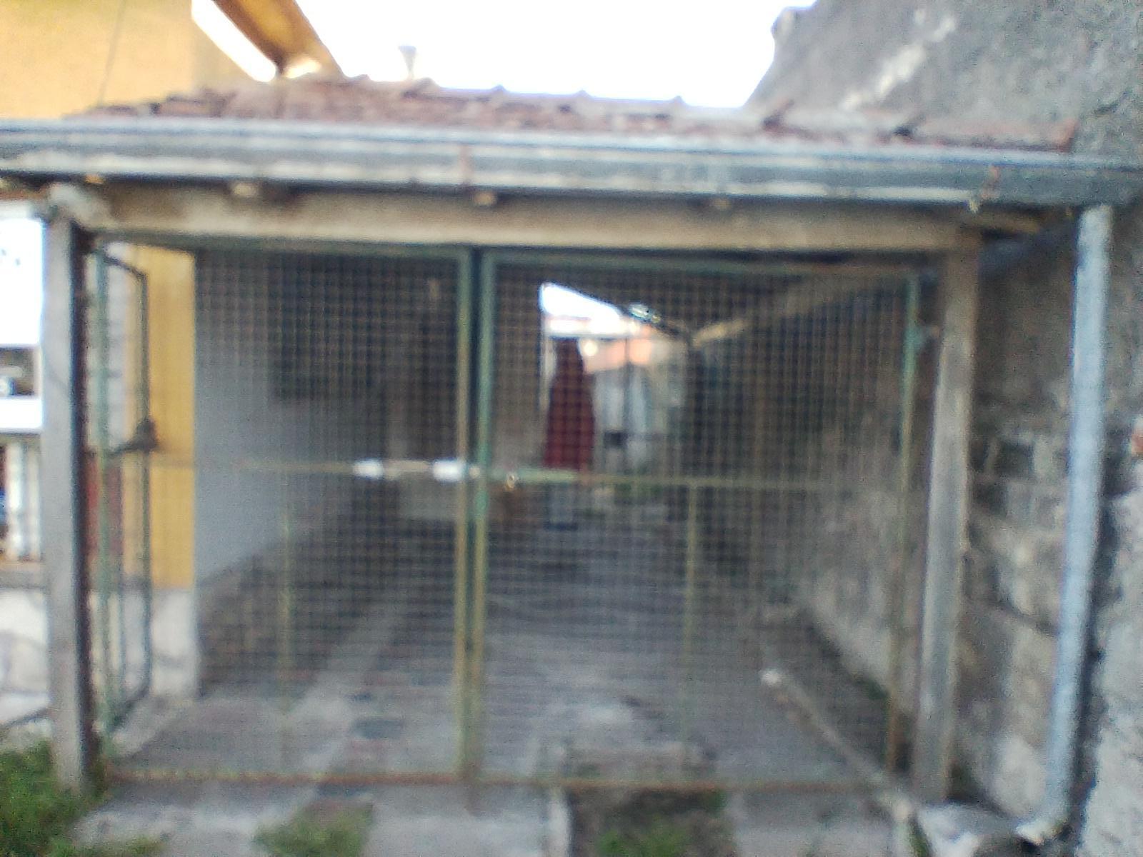 image 30