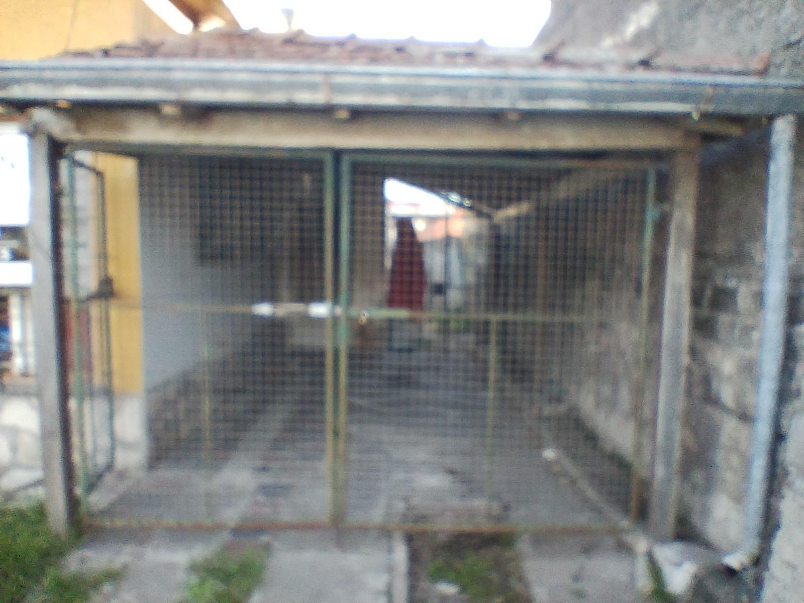 image 31