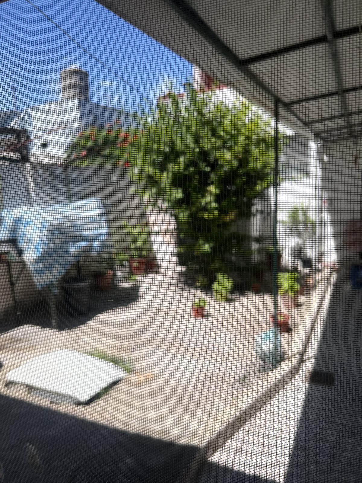 image 41