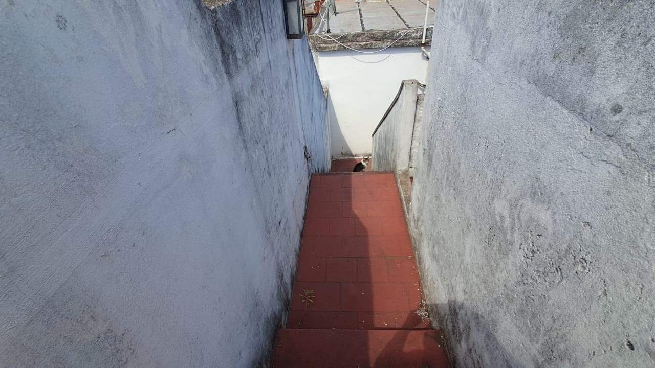 image 29