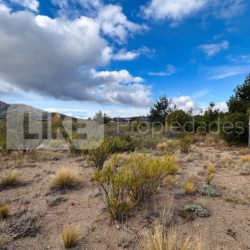 Terreno Venta en De los Cerastios 200