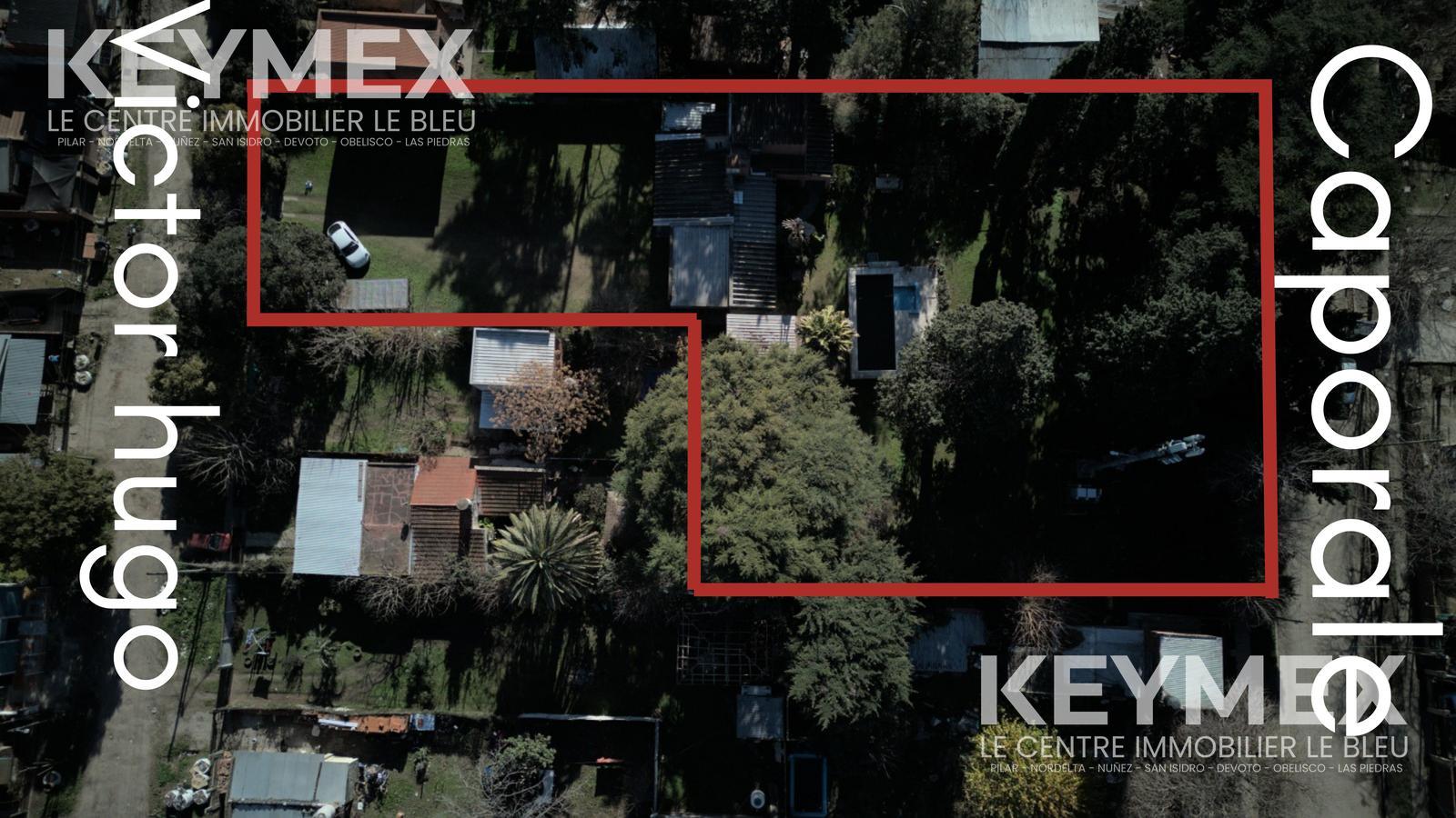 image 42