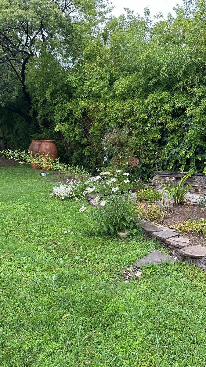 image 31