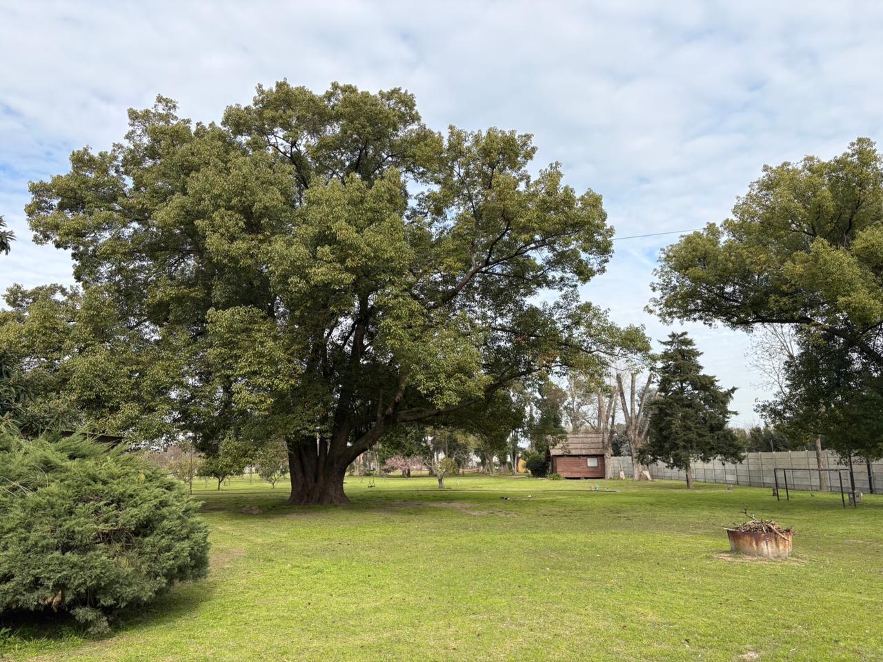 image 21