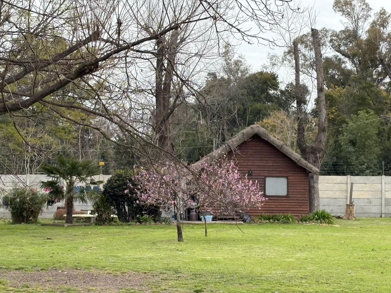 image 37