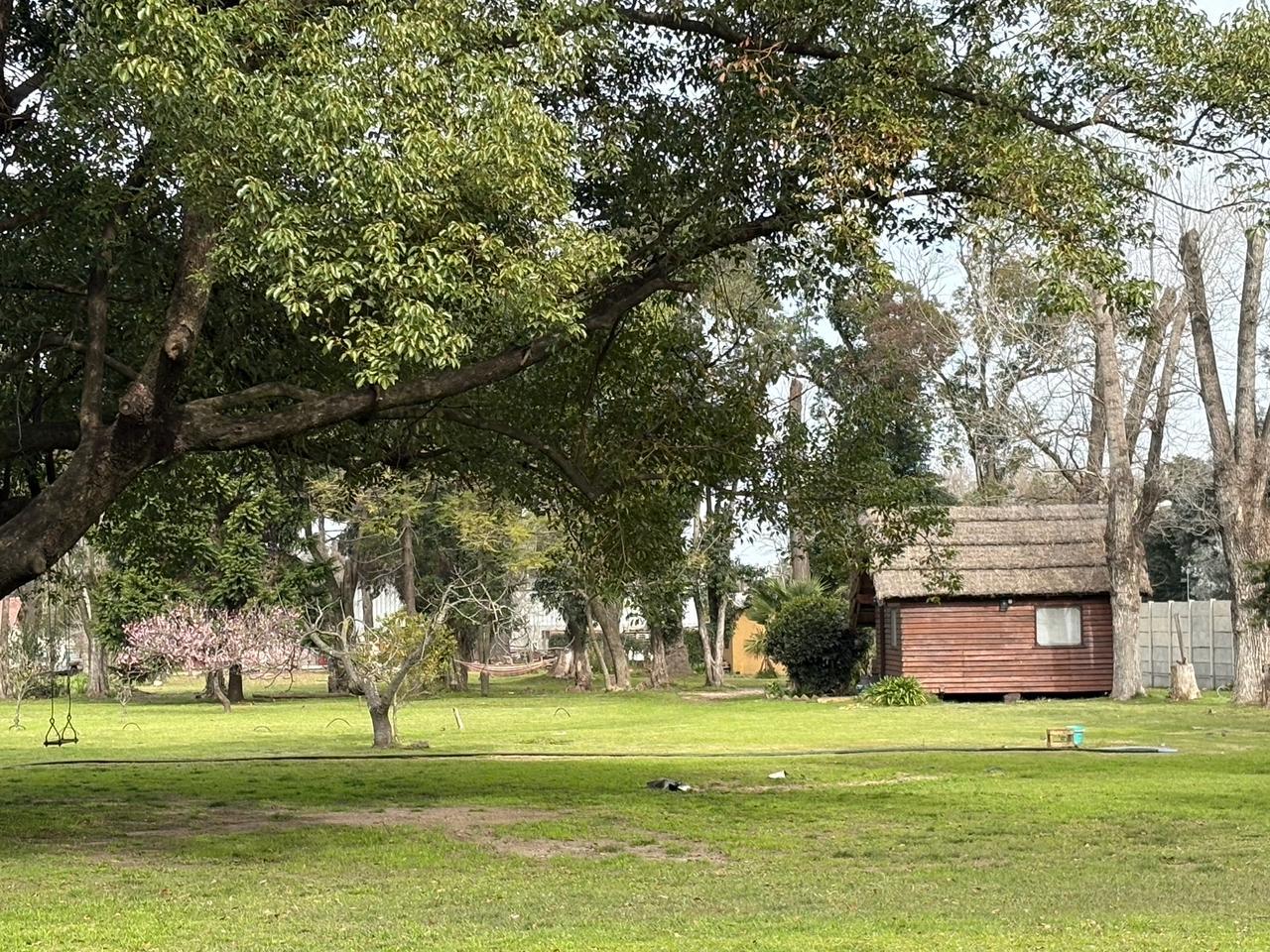 image 42