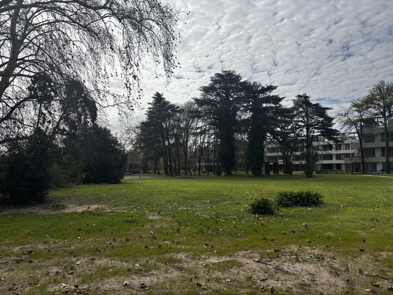image 31