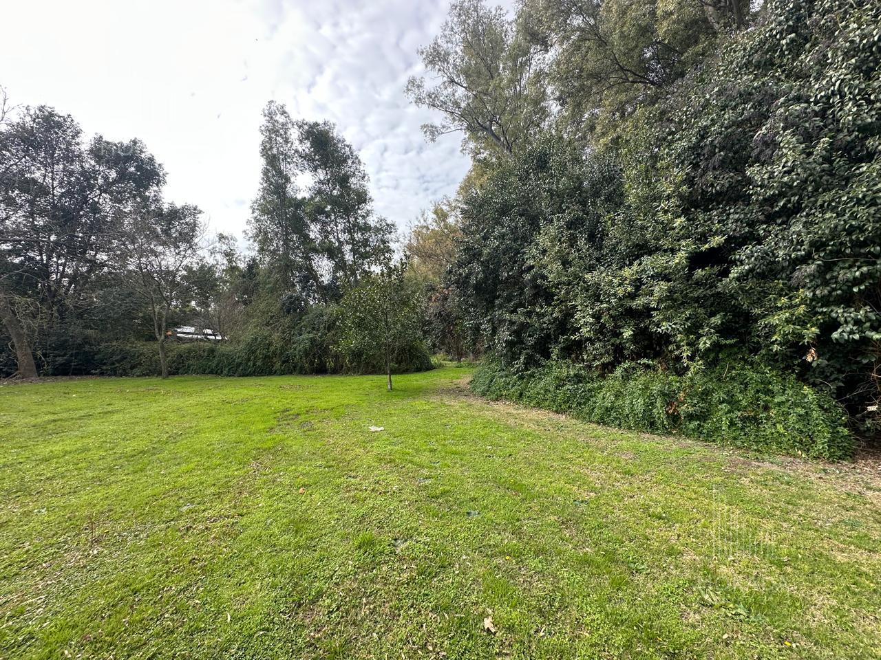 image 47
