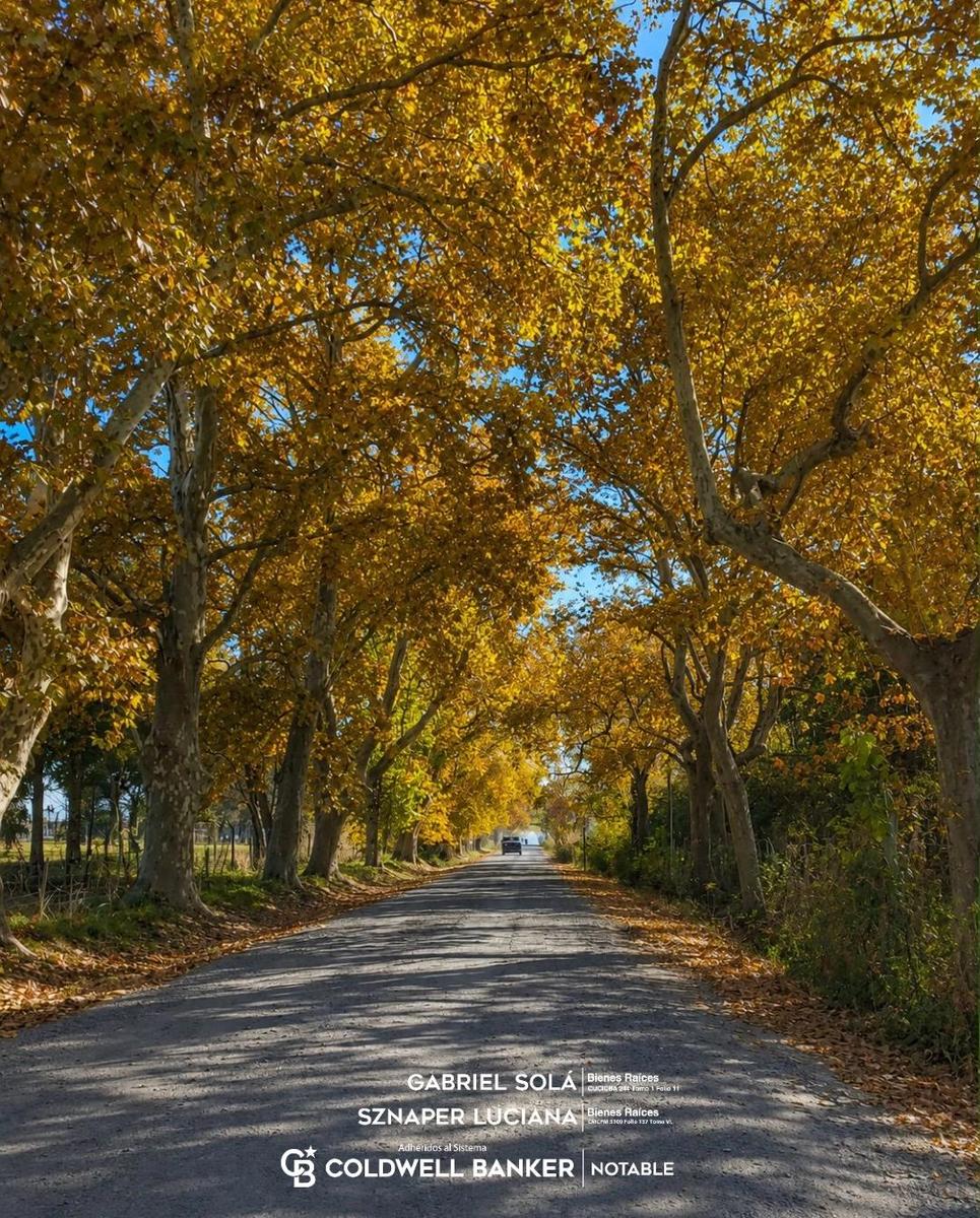 CAMINOS