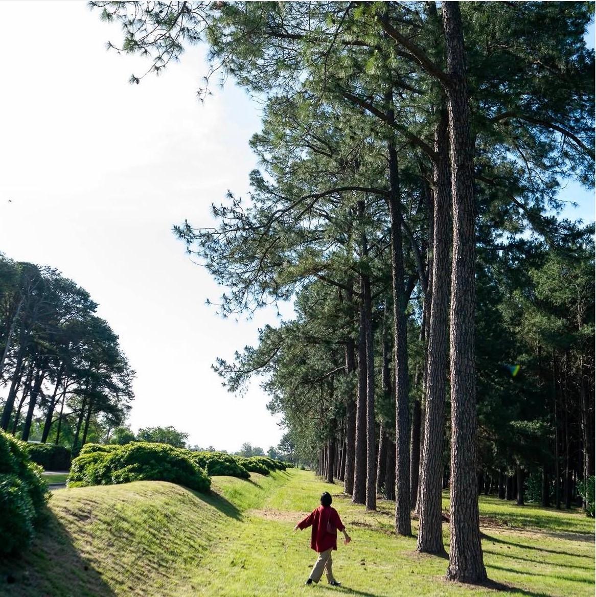 Lote Interno de 1771 m² en Pinares Golf – Excelente Ubicación y Listo para Construir - 2