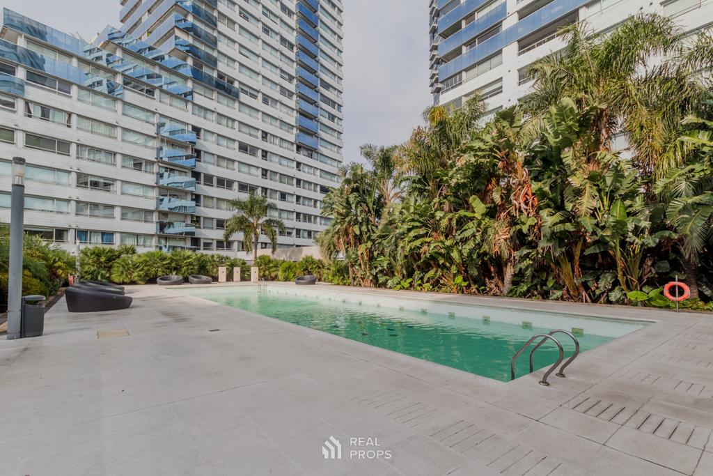 image 35