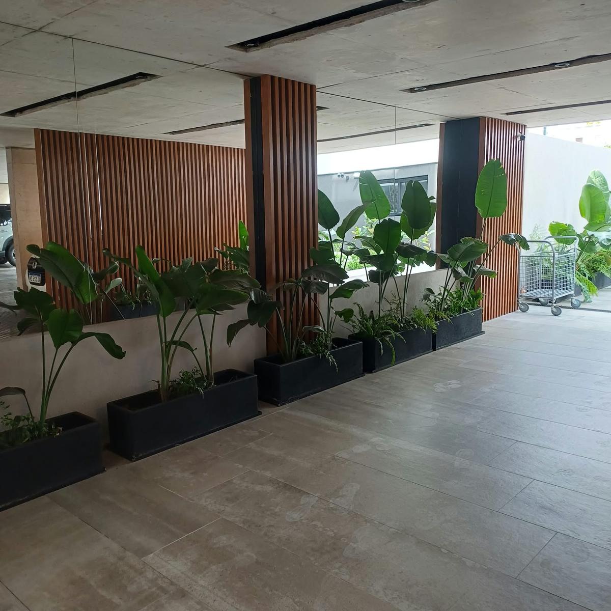 image 17