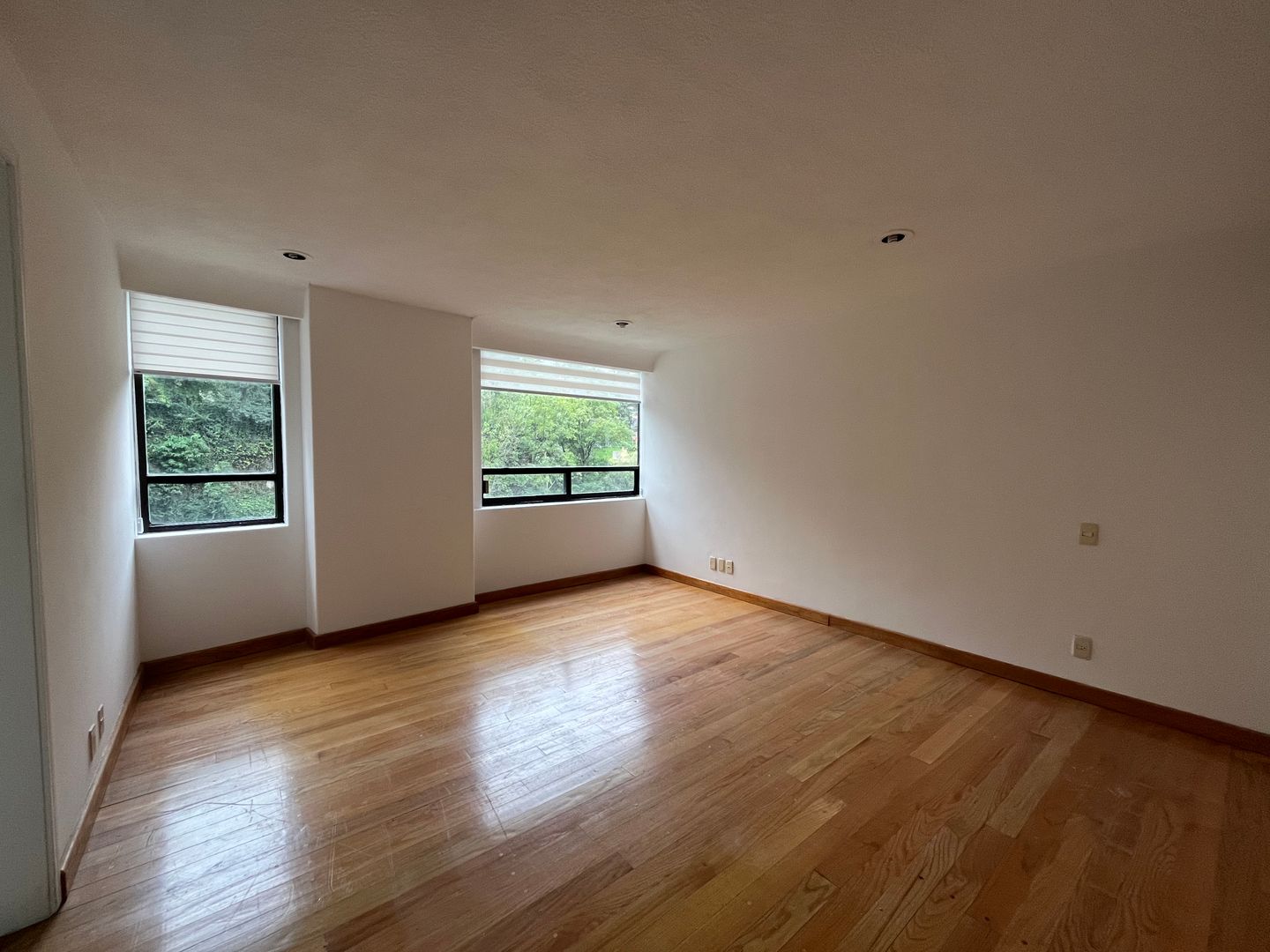 209848F9-9234-401A-90E2-DD448BD66225.jpeg