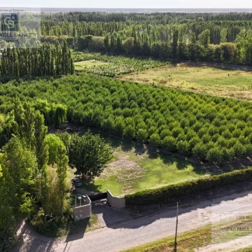 venta de chacra  1.5 hectareas en produccion de almendros