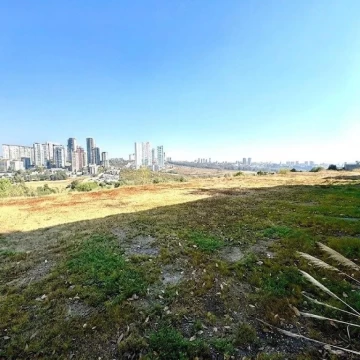 TERRENO EN RENTA EN BOSQUE REAL 