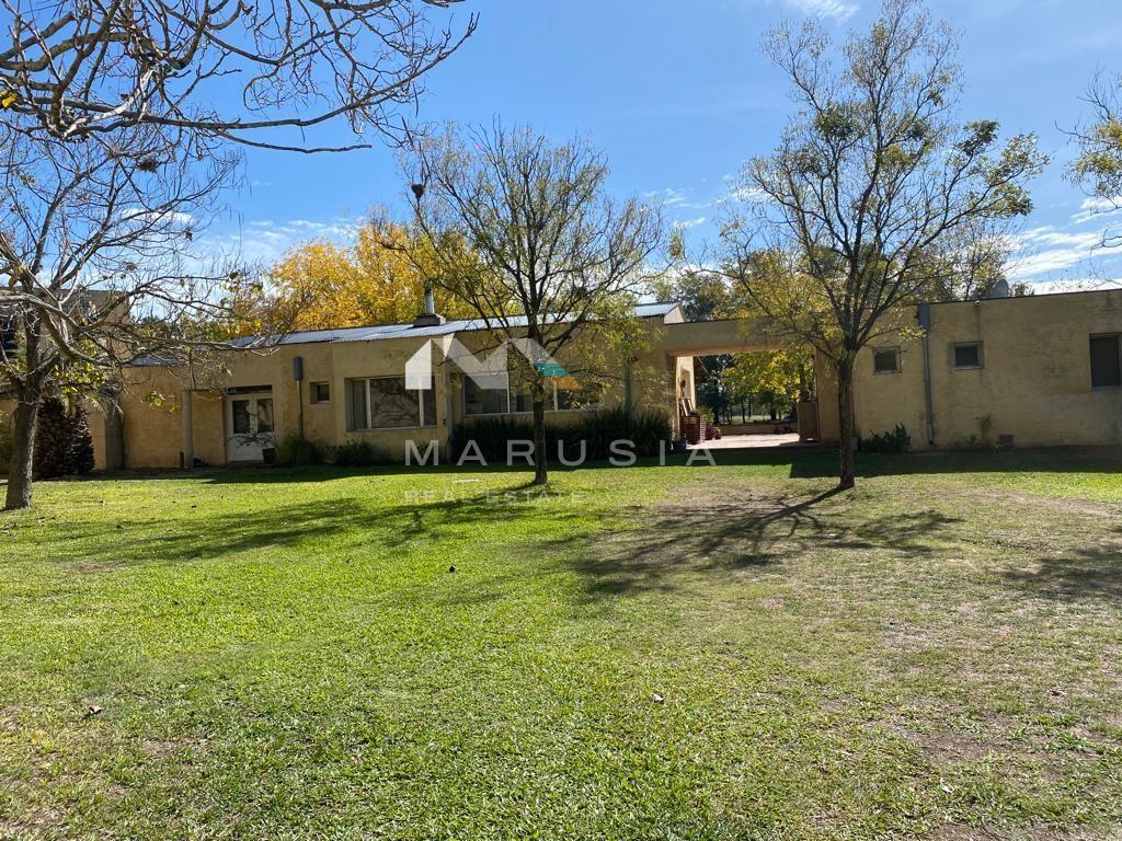 image 35