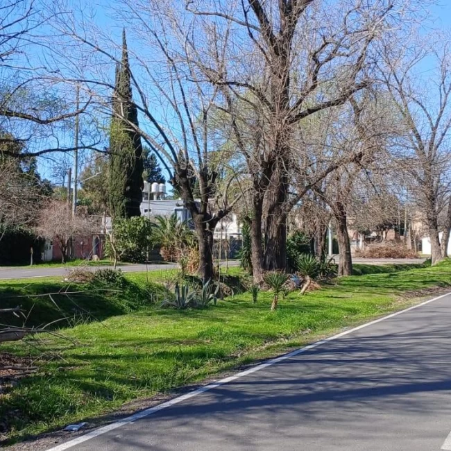 Terreno en De Vicenzo Grande excelente ubicación en venta