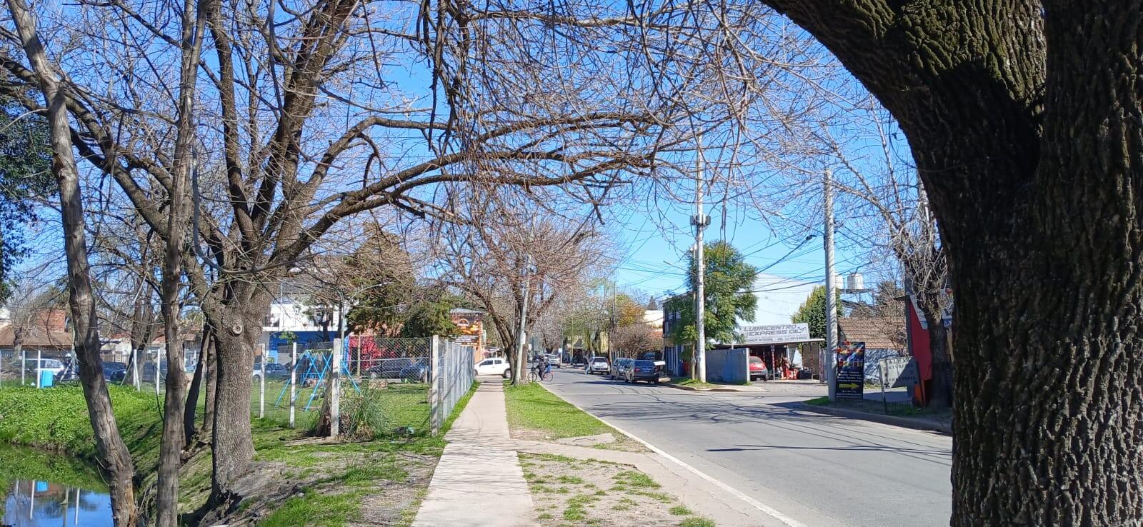 image 13