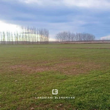 Extenso Campo 224 has en Añelo