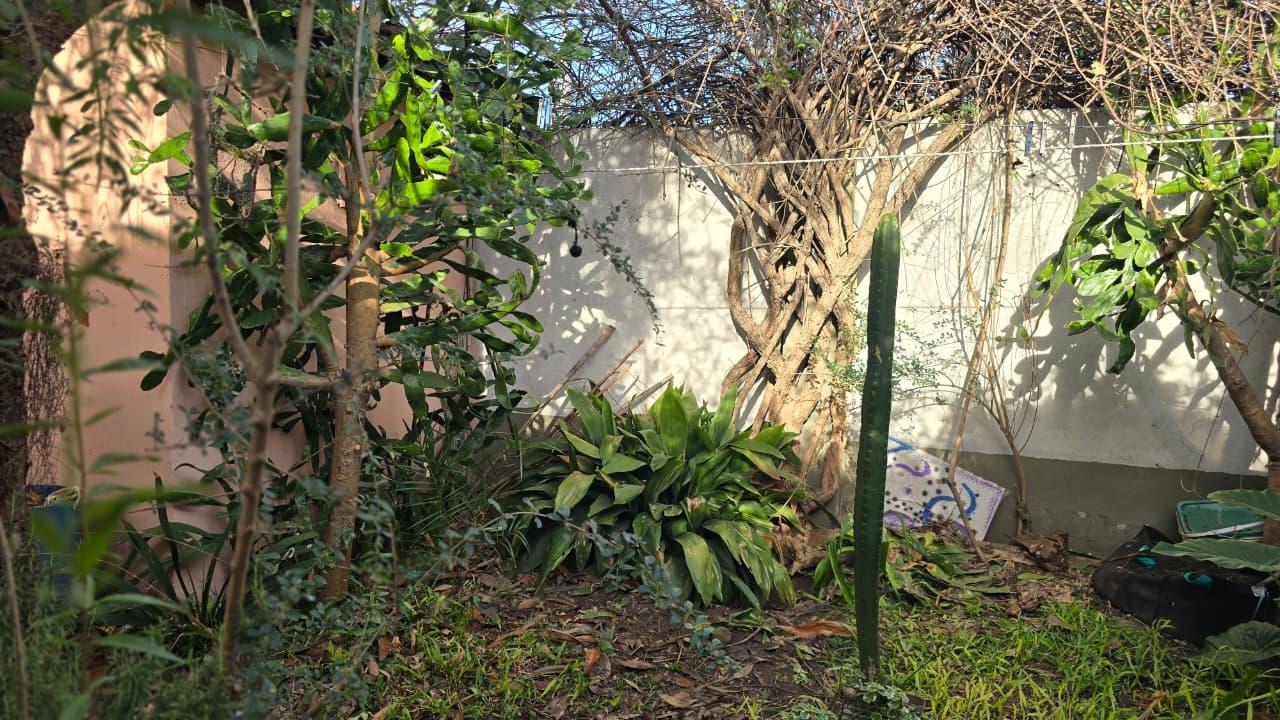 image 34