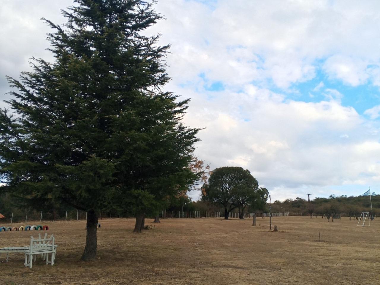 image 14