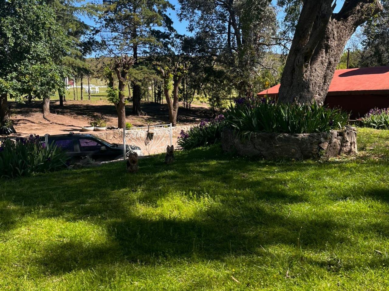 image 21