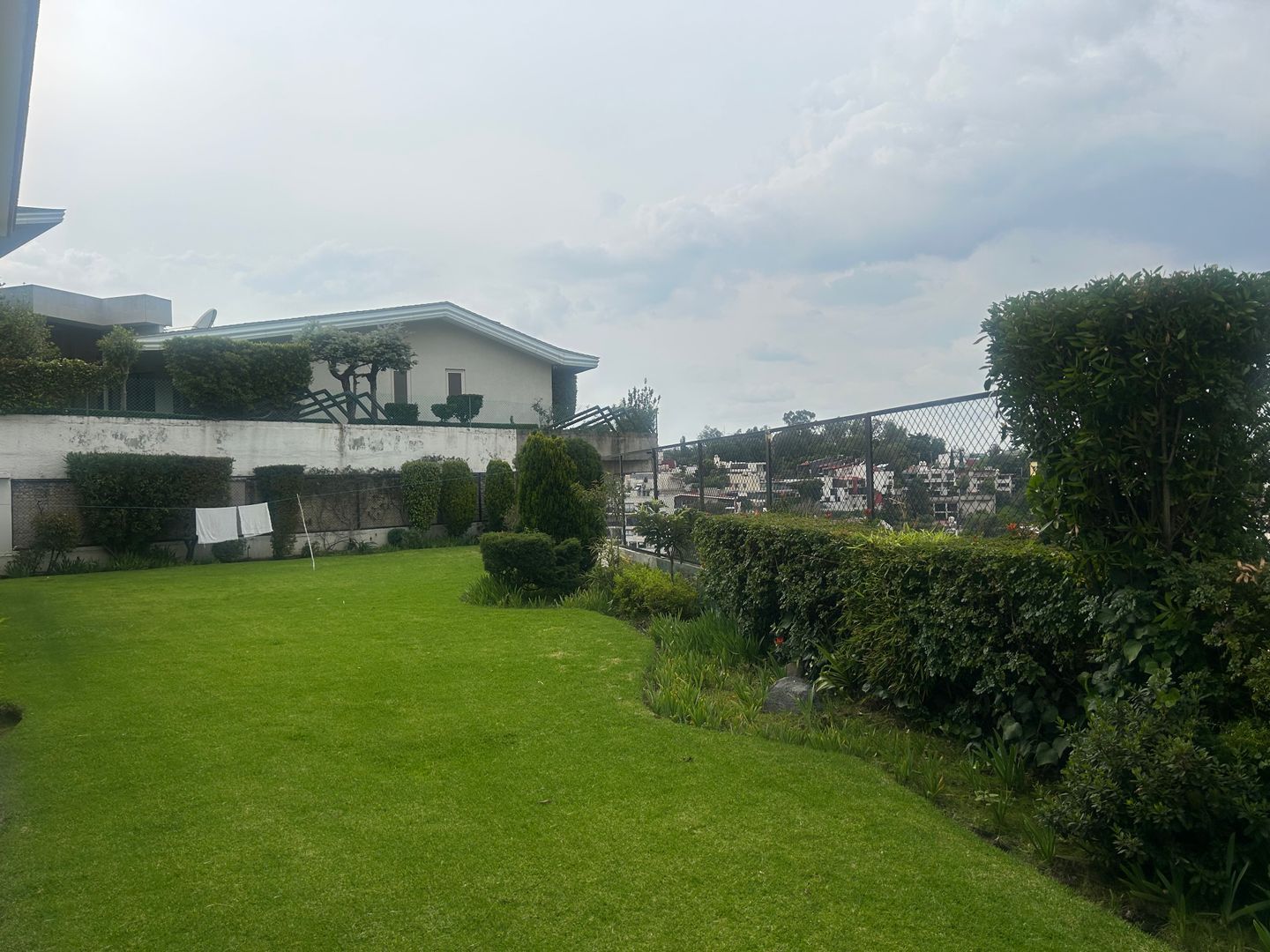 IMG_5231.jpeg