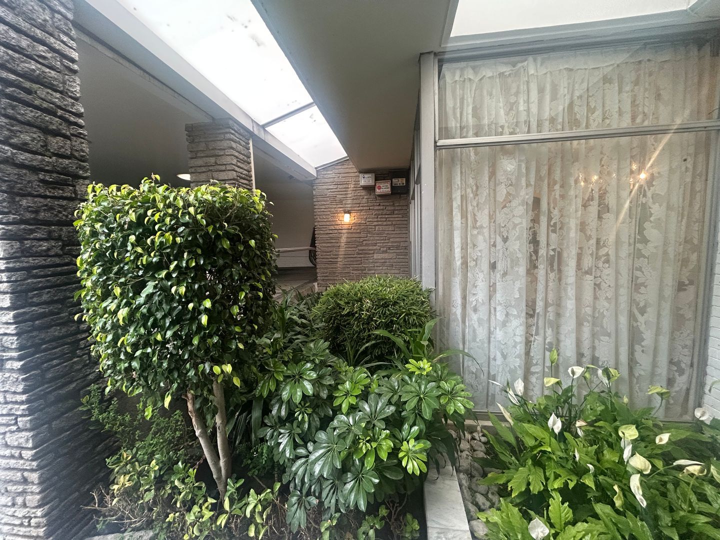 IMG_5209.jpeg