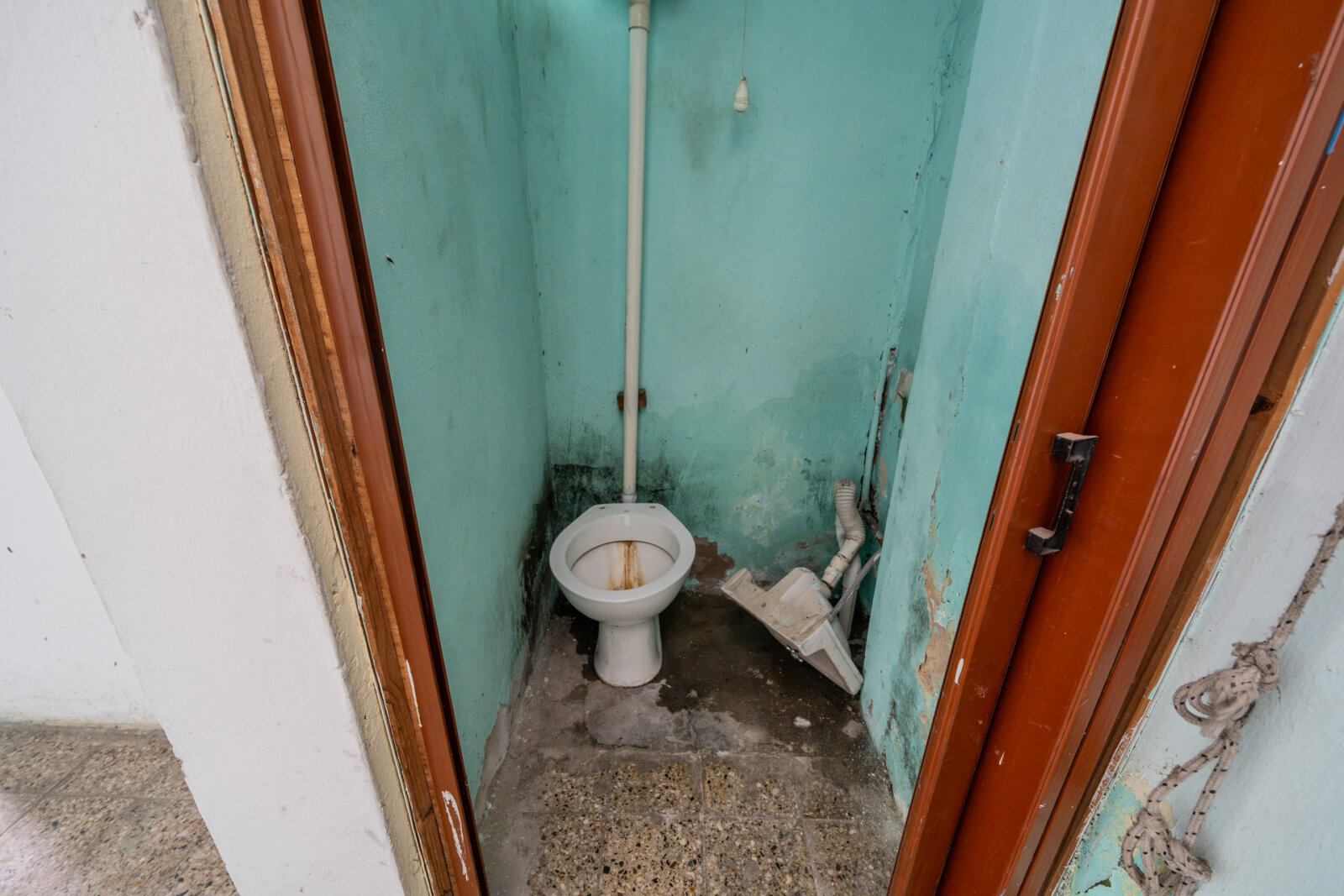 image 29