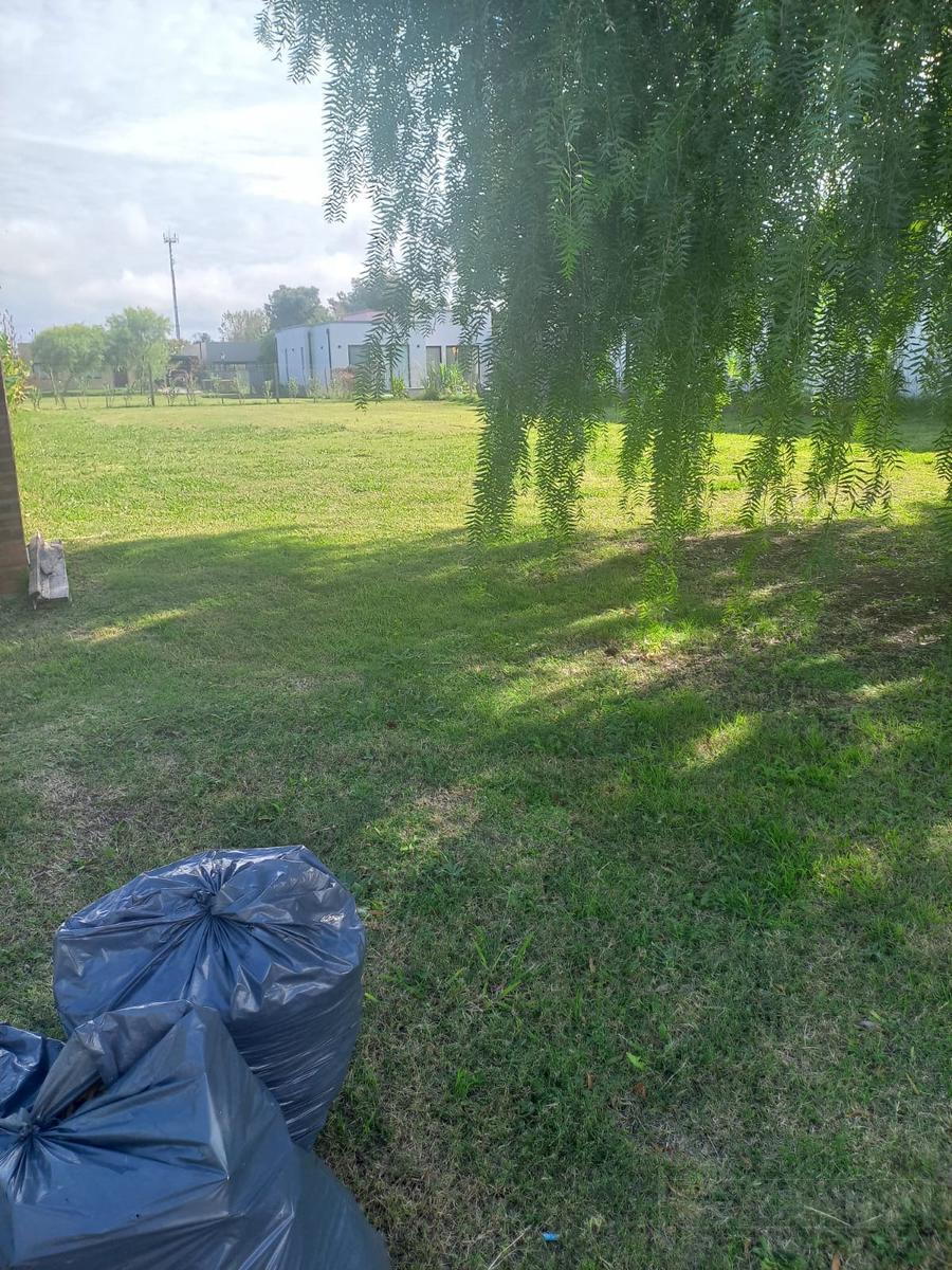 image 23